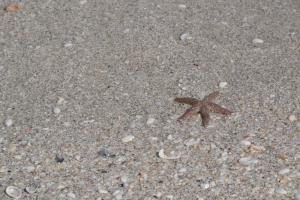 throw me back byveggiegretzatmorguefile