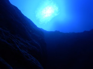 file000301768094byheirbornstudatmorguefile